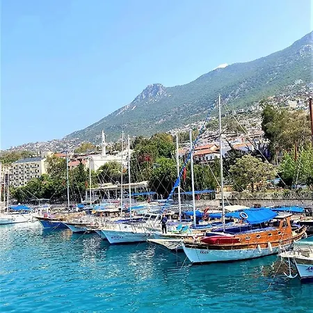 Case de vacanță Icon *