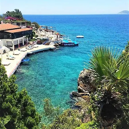 Icon * Kalkan