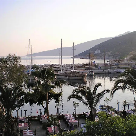 Case de vacanță Icon