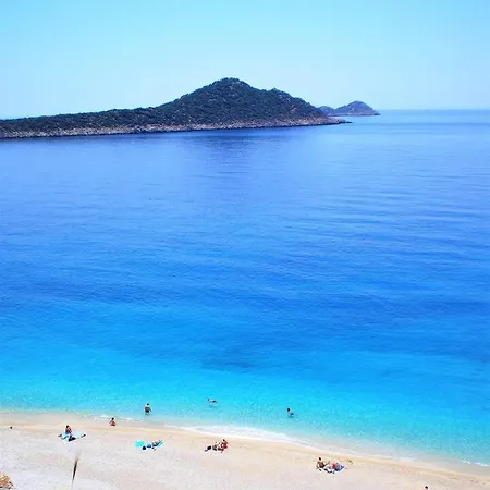 Icon * Kalkan